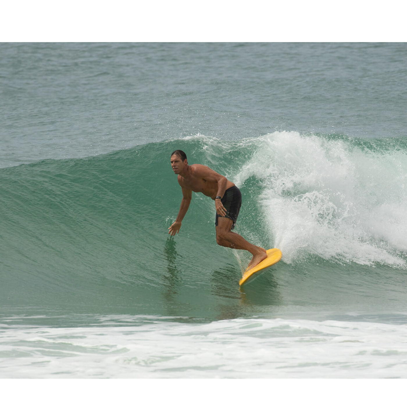 Creative Army - 8'1  Huevo PU Blue Atoll