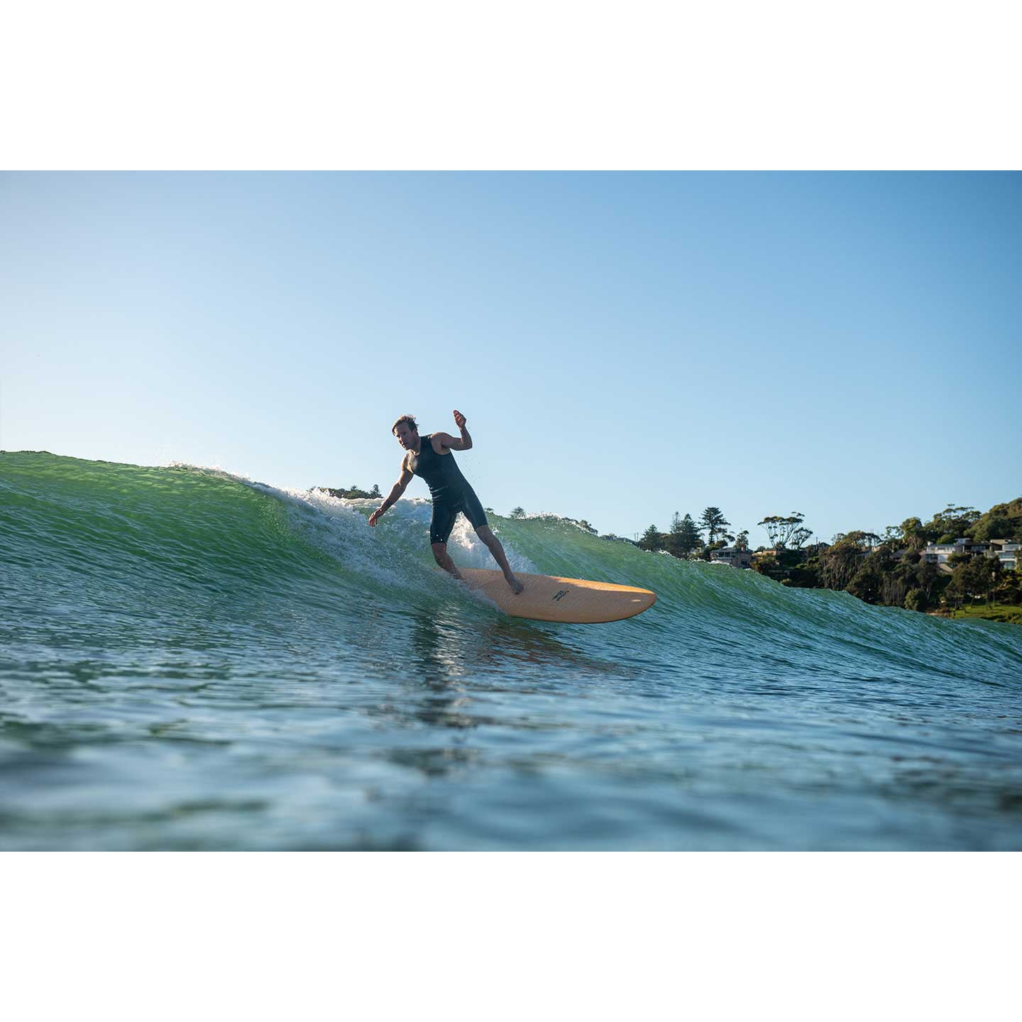 The Critical Slide Society - Loggerhead PU 9'2 Kiwi