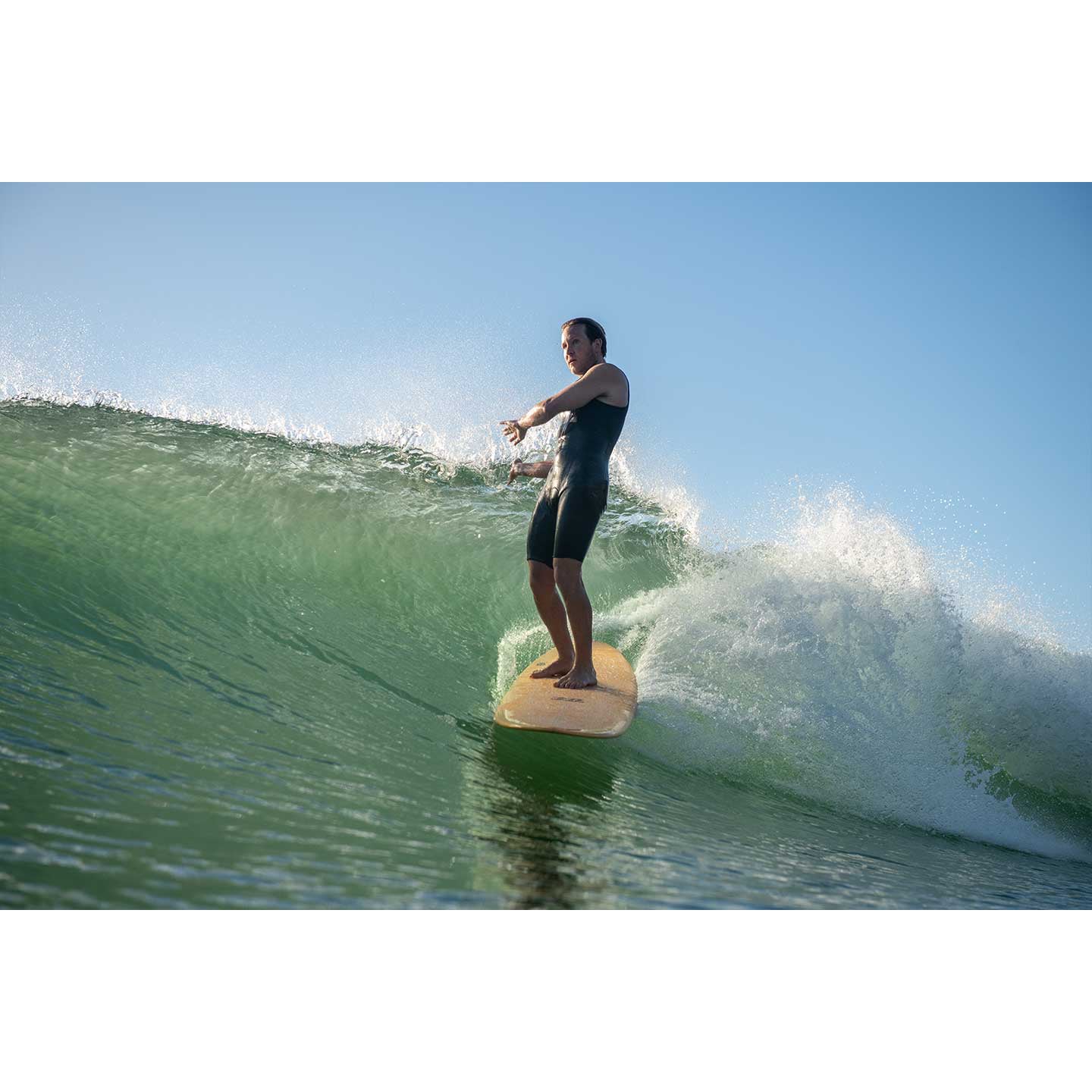 The Critical Slide Society - Loggerhead PU 9'2 Kiwi
