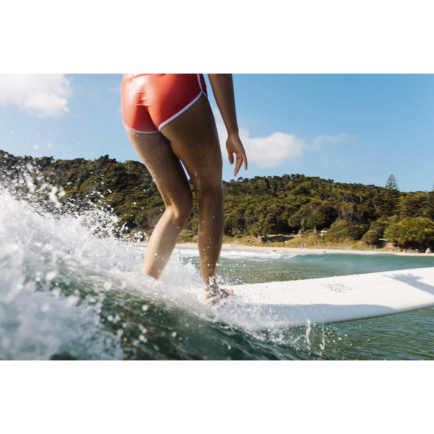 Salt Gypsy Dusty Retro 8'6 Longboard Merlot Tint