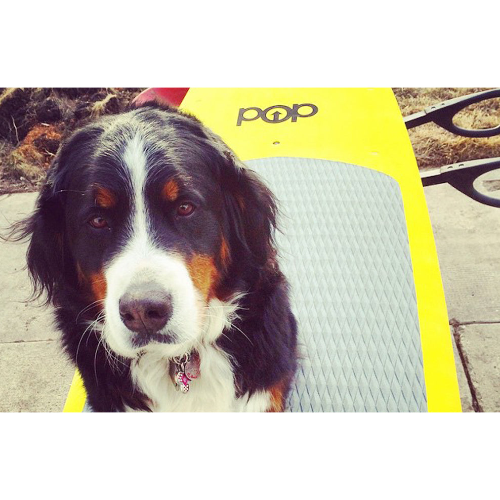 POP rigid 11'6" Amigo Allround Yellow/Blue