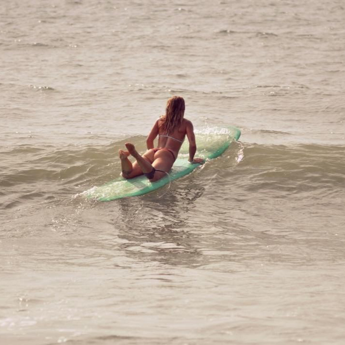 Modern Longboard - Retro 9'6 PU Two Tone Blue