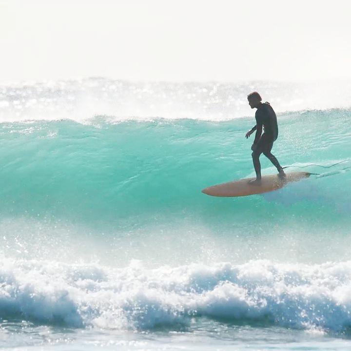 Channel Islands - MID 6'6 Clear 2+1 FCS*