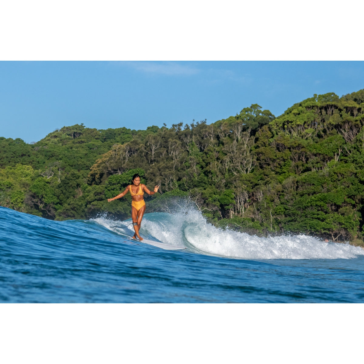 Aloha Pintail Noserider 9'1 PU PVCP Blue