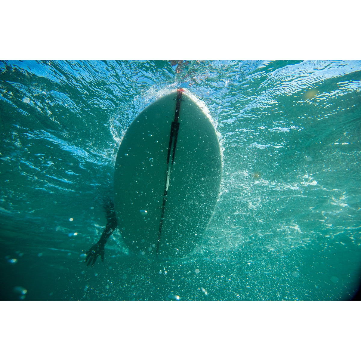 Aloha Pintail Noserider 9'1 PU PVCP Blue