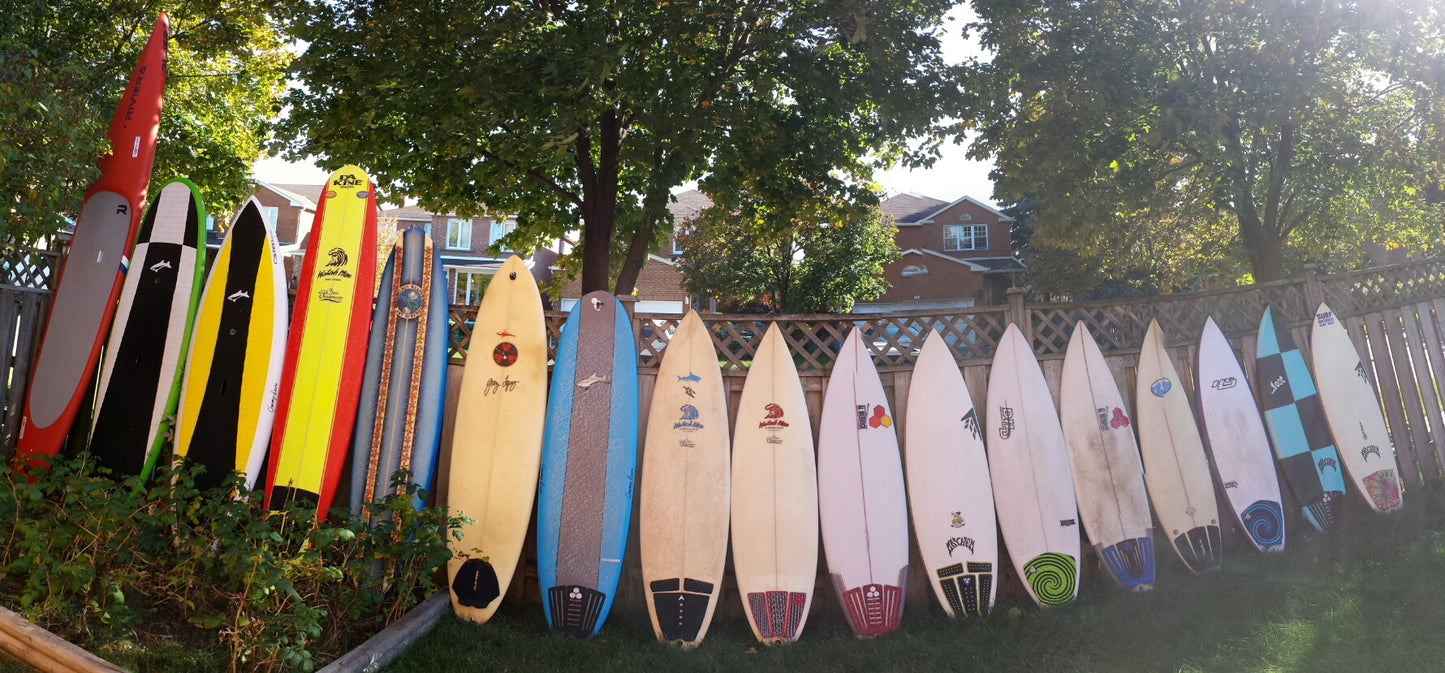 Proper Progression When Learning to Surf is Key to Success