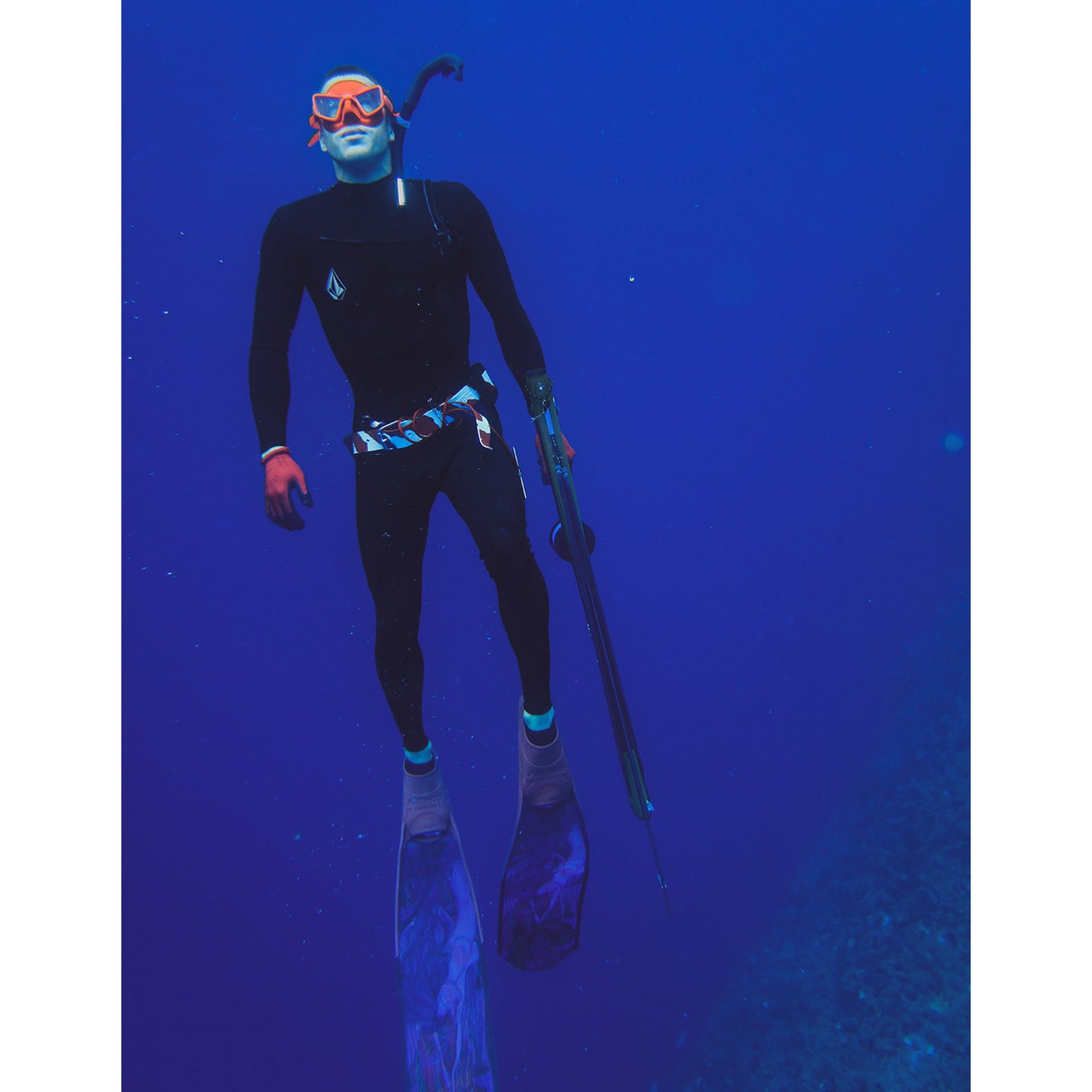 
                  
                    Person in a black wetsuit with diving equipment underwater
                  
                