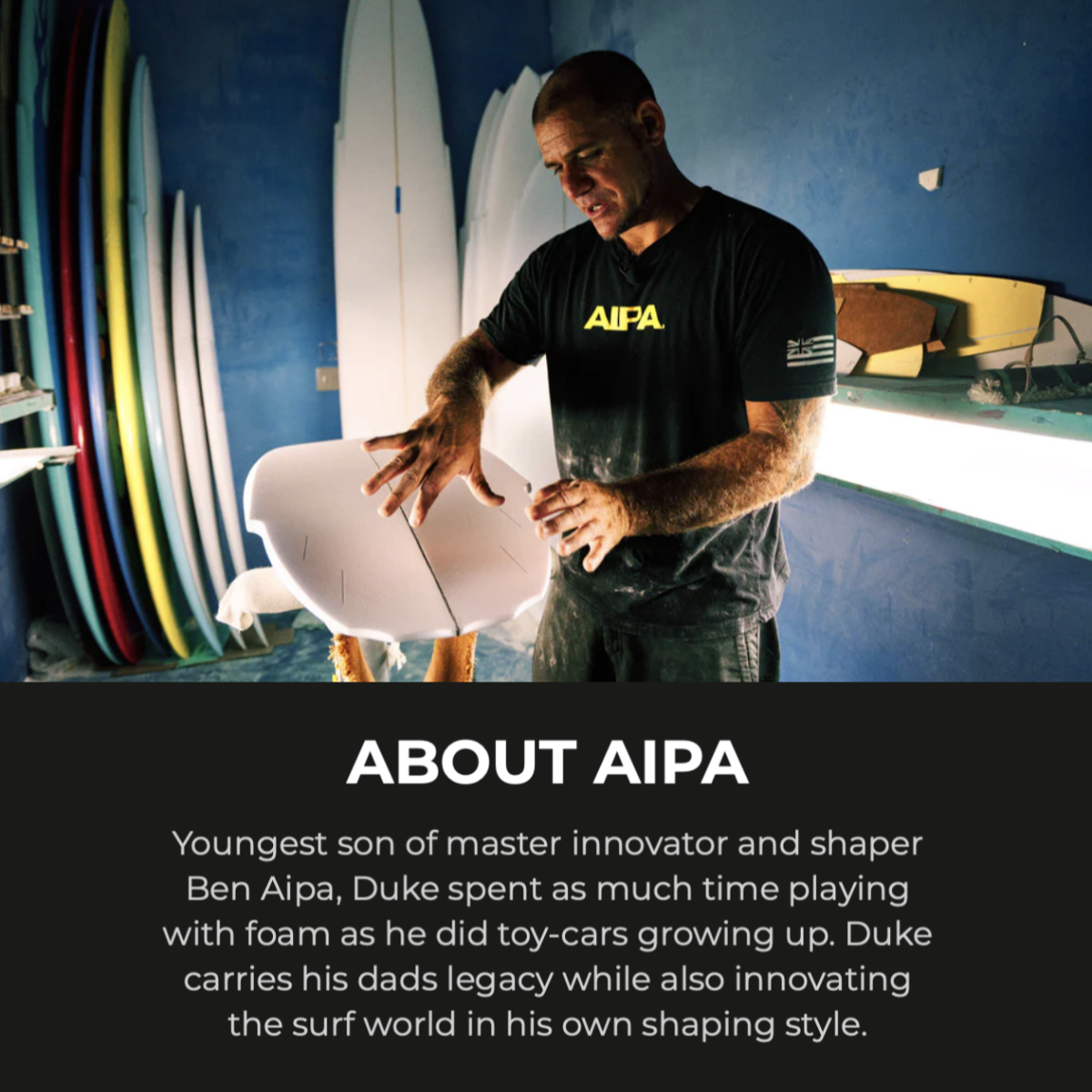 
                  
                    AIPA - The Dark Twinn 6'0 Dual Core Futures
                  
                