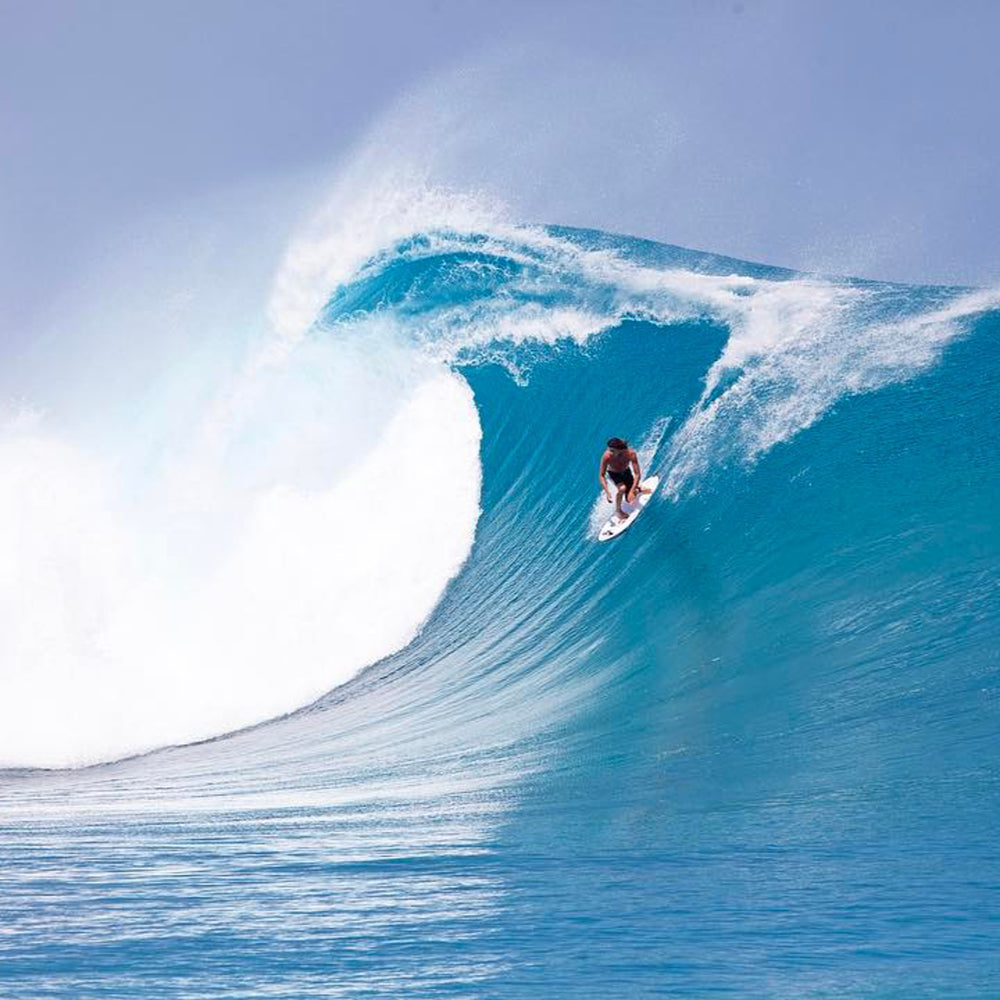 
                  
                    Haydenshapes Hypto Krypto 6'0 FF - 5 Future Fins - clear tint
                  
                