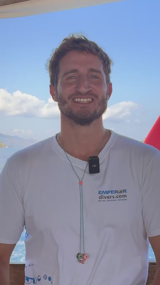
                  
                    Load and play video in Gallery viewer, Protective Gear (Surf) - Ears - SurfEars 4.0 Coral Sky
                  
                
