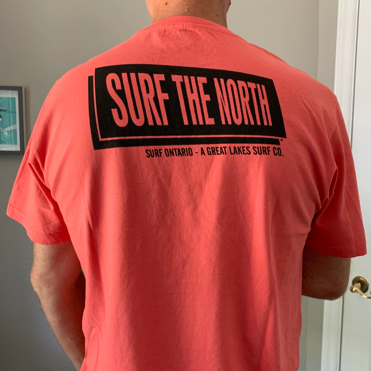 
                  
                    Vissla Established Surf the North T-Shirt - Coral
                  
                