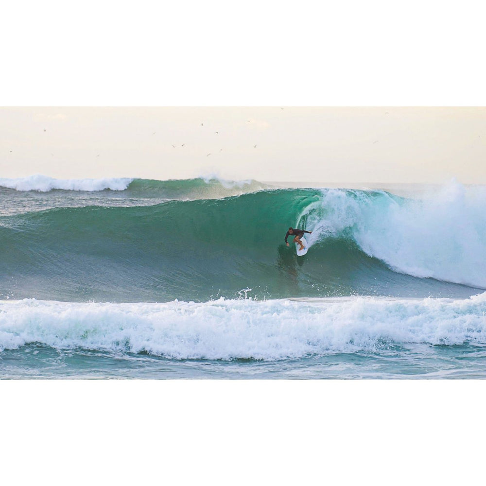 
                  
                    Harley Ingleby Mid 6 - 7'10 Blue FCS2
                  
                
